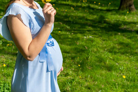 Pregnancy walking woman. Baby belly. Pregnant walk nature. Happy maternity mother in summer park. Active pregnancy.の写真素材