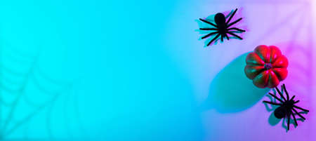Halloween party. Black night spider, scary spooky pumpkin on night neon helloween background. Happy Halloween concept. frame. Copy space, flat layの写真素材