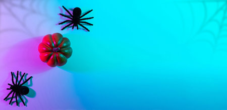 Halloween design. Black night spider, scary spooky pumpkin on night neon helloween background. Happy Halloween concept. Frame. Copy space, Flat lay.の写真素材