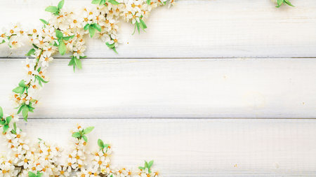 Sakura blossom flowers and may floral nature on wooden background. Branches of blossoming cherry against background. Copy space.の写真素材