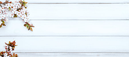 Cherry tree blossom banner. April floral nature and spring sakura blossom on wooden background. Banner for 8 march, Happy Easter with place for text. springtime concept. top view. flat layの写真素材