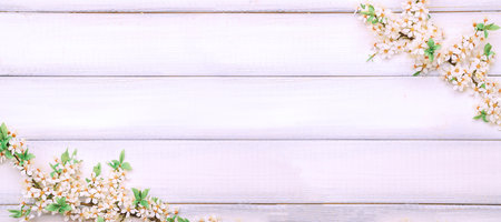 Spring background flower blossom and April floral nature with blooming tree on wooden banner. Easter Sunny day. Orchard abstract background. Springtime.の写真素材