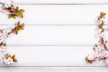 Spring background flower blossom and April floral nature with blooming tree on wooden. Easter Sunny day. Orchard abstract background. Springtime.の写真素材