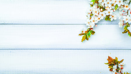 Spring background table. May flowers and April floral nature on wooden. For banner, branches of blossoming cherry against background. Copy space.の写真素材