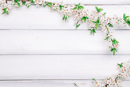 Cherry tree blossom. April floral nature and spring sakura blossom on wooden background. Banner for 8 march, Happy Easter with place for text. Springtime concept. Top view. Flat lay.の写真素材