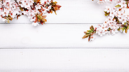 Spring border, April floral and spring blossom nature on wooden background. Branches of blossoming. Easter and spring greeting cards with copy space. Springtime.の写真素材