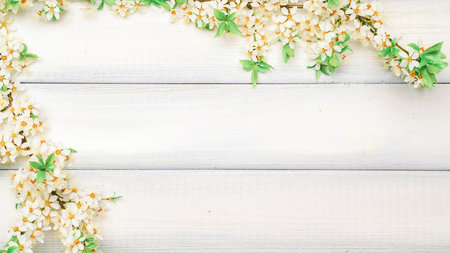 Sakura flower spring blossom and April floral nature on wooden background. Banner for 8 march, Happy Easter with place for text. Springtime concept. Top view. Flat lay.の写真素材