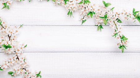 Spring blossom may flowers and April floral nature on wooden background. Branches of blossoming. For easter and spring greeting cards with copy space. Springtime.の写真素材
