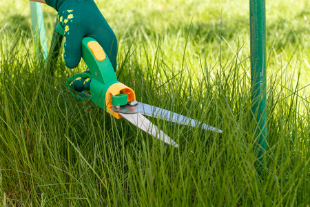 Grass scissors in hand dressed in a green glove is trimming the grass.の写真素材
