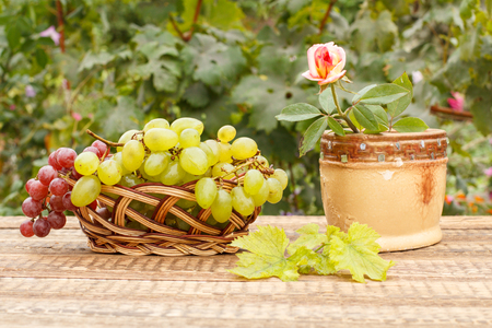 Grapes in wicker basket and red rose in ceramic vase on wooden boards with natural backgroundの写真素材