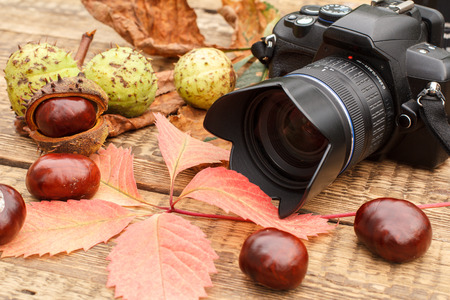 Chestnuts, camera and autumn yellow and red leaves on wooden backgroundの写真素材