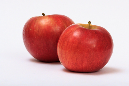 Two ripe red apples on a white background with shadowの写真素材