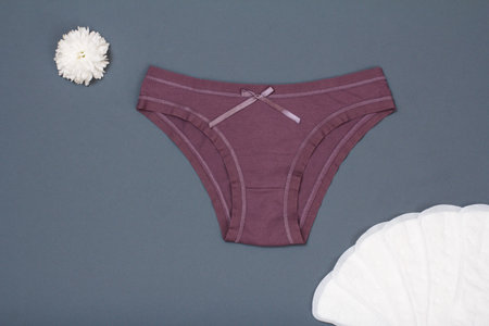 Beautiful brown panties with sanitary napkins on gray