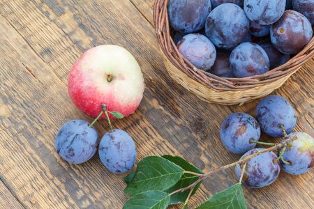 Picked mellow plums in wicker basket and on old wooden boards with red apple. Just harvested fruits. Top view.の写真素材
