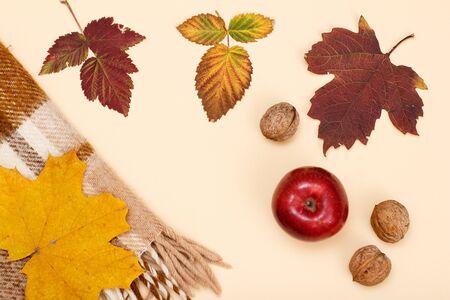 Dry yellow and brown leaves, red apple, walnuts, checkered plaid on the beige background. An autumn theme. Top view.の写真素材