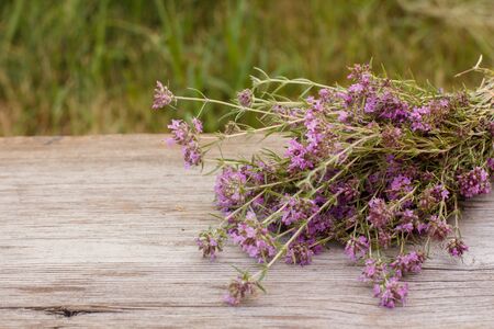 Bouquet of thyme flowers on old wooden board with naturalの写真素材