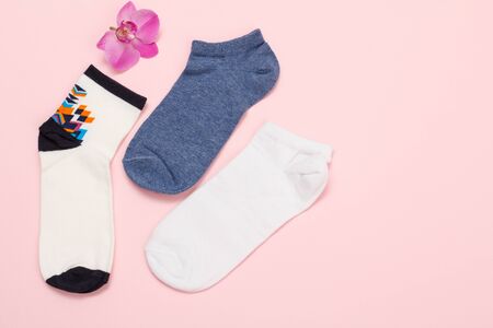 Women socks and orchid flower on a colored background, Top view with copy space.の写真素材