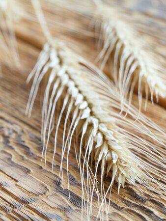 Close-up view of spikelets of wheat on old wooden boards. Shallow depth of field.の写真素材