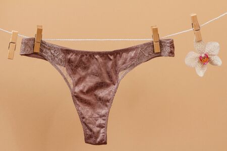 New brown cotton panties on clothesline with clothespins and orchid flower in beigeの写真素材