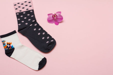 Women socks and red orchid flower on a pink background, Top view with copy space.