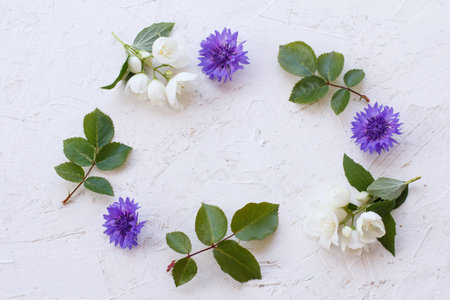 Flowers of jasmine, cornflowers and green leaves on white background. Natural frame from flowers....
