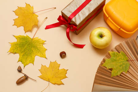 Ripe apple, a book, a plastic lunchbox, a gift box, dry yellow maple leaves and acorns on a beige background. Top view.の写真素材