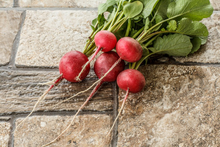 Ripe red radishes with green stalks on the stone floor. Top view. Spring harvesting of vegetables in...