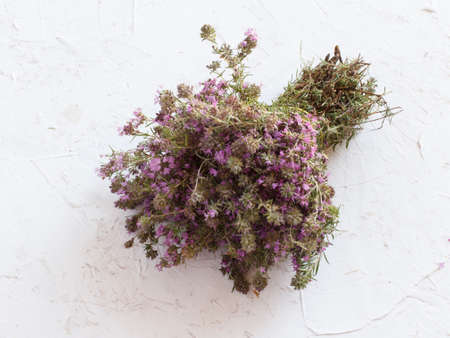 Thyme plant with flowers on the white structured background. Top view.の写真素材