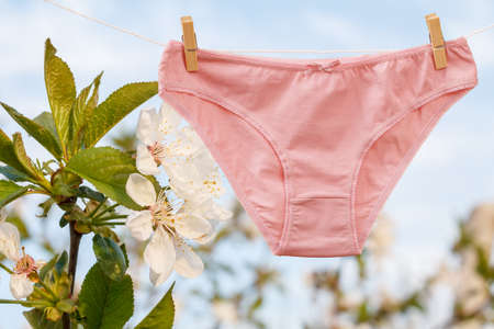 New and clean cotton panties on clothesline with clothespins with a blooming apple tree on the background. Woman underwear.の写真素材