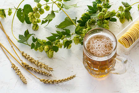 Glass mug of beer with ears of barley, potato chips and hop branches on the white structured background. Top view.の写真素材
