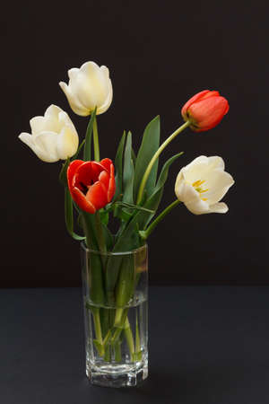 Bouquet of yellow and red tulips in a glass vase on the black background.の写真素材