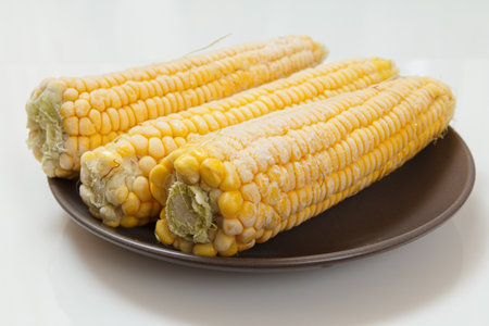 Frozen corn cobs on a porcelain plate with the white backgroundの写真素材