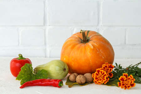 Beautiful autumn composition with a pumpkin on white backgroundの写真素材
