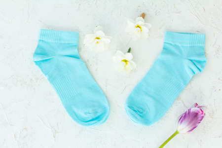 Pair of blue socks, a tulip and buds of daffodil flowers on the white structured background, Top view.の写真素材