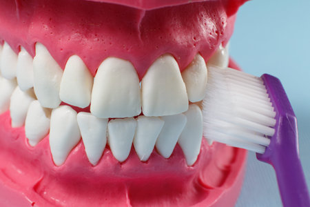 Close-up view of a human jaw layout and a toothbrush on the blue background.