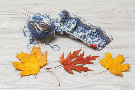 Just started pullover, a skein of yarn with metal knitting needles and autumn leaves on the gray...
