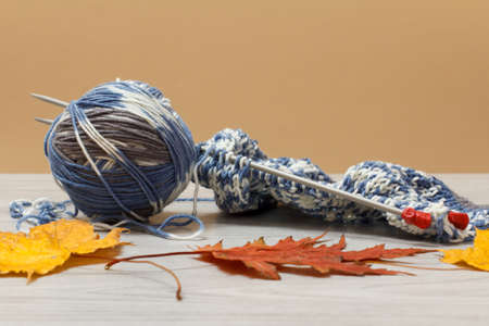 Just started pullover, a skein of yarn with metal knitting needles and autumn leaves on the gray desk. Knitting concept.の写真素材