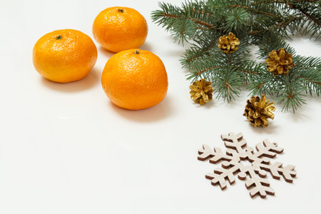 Natural fir tree branch with cones and oranges on the white background