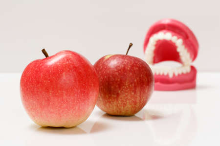 Apples with a layout of the human jaw on the background.の写真素材