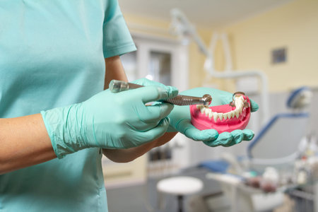 Head of high-speed dental handpiece with bur and a layout of the human jaw in dentist's hands....