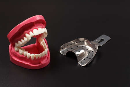 Layout of a human jaw and a stainless steel dental impression tray on the black background.の写真素材