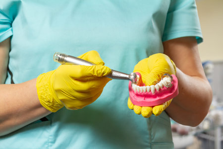 Head of high-speed dental handpiece with bur and a layout of the human jaw in dentist's hands....