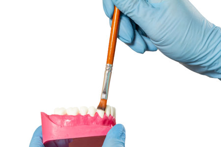 Close-up view of dentist's hands in latex gloves with a layout of the human jaw and a brush. Medical...