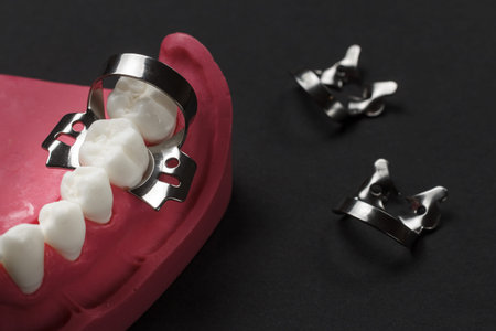 Layout of the human jaw with dental dam clamps on the black background. Medical tools concept. Top...