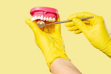 Dentist with a layout of the human jaw is examining teeth with mirror on yellow. Focus on stainless steel dental mirror.の写真素材