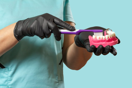 Close-up view of dentist's hands with a human jaw layout and a toothbrush.