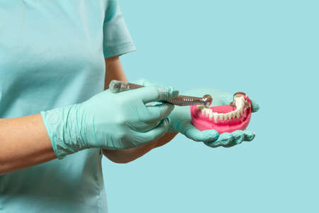 Head of high-speed dental handpiece with the bur and the layout of a human jaw in the dentist's hands. Dental instruments for dental treatment.の写真素材