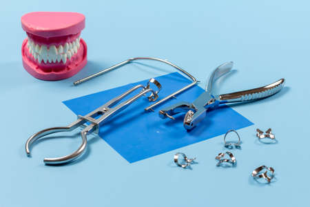 Layout of a human jaw, the dental hole punch, the clamps, the metal frame and the rubber dam forceps on the blue background. Medical tools concept.の写真素材