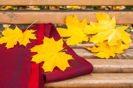 Wooden bench and the scarf, yellow dry leaves in the city park. Autumn theme.の写真素材