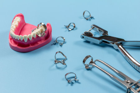 Layout of a human jaw, the dental hole punch, the clamps and the rubber dam forceps on the blue background. Medical tools concept.の写真素材